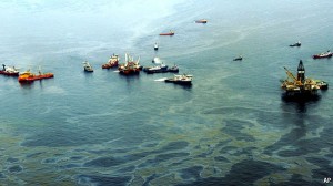 Oil from the Deepwater Horizon