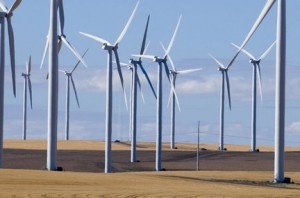 Wind farm in Columbia Gorge