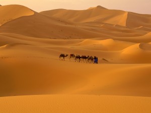 Beduins in the Sahara, Mexico