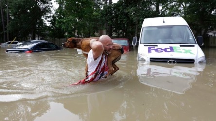 Image of Louis Marquez carries his dog, Dallas, through floodwaters after rescuing the dog from his flooded apartment Tuesday in Houston. A FedEx van is in water up to middle of the headlights (AP Photo/David J. Phillip)